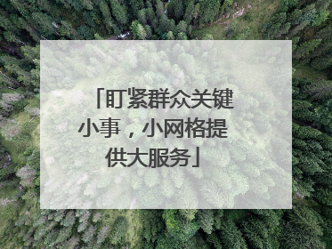 盯紧群众关键小事，小网格提供大服务