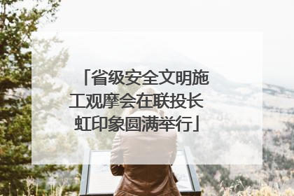 省级安全文明施工观摩会在联投长虹印象圆满举行
