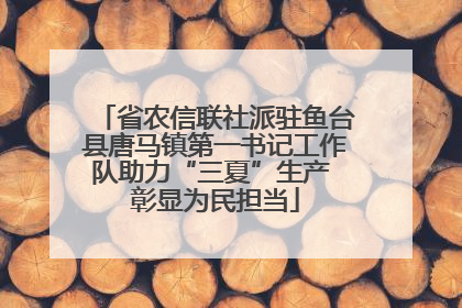 省农信联社派驻鱼台县唐马镇第一书记工作队助力“三夏”生产 彰显为民担当