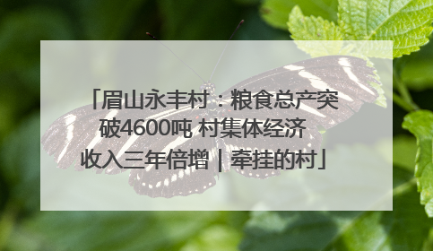 眉山永丰村：粮食总产突破4600吨 村集体经济收入三年倍增｜牵挂的村