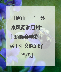 眉山：“三苏家风德润眉州”主题晚会精彩上演千年文脉润泽当代