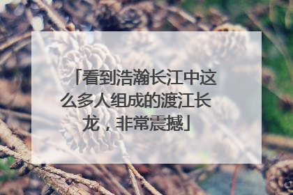 看到浩瀚长江中这么多人组成的渡江长龙，非常震撼