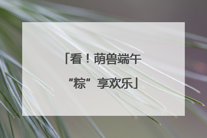 看！萌兽端午“粽”享欢乐