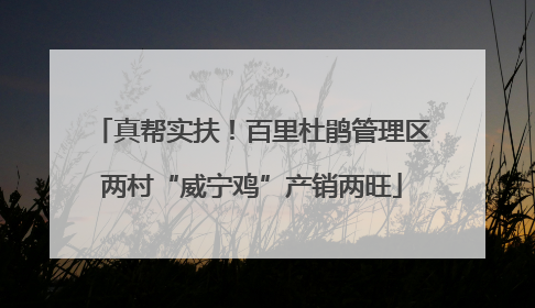 真帮实扶！百里杜鹃管理区两村“威宁鸡”产销两旺