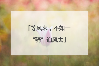 等风来，不如一“骑”追风去