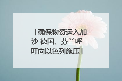 确保物资运入加沙 德国、芬兰呼吁向以色列施压