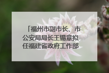 福州市副市长、市公安局局长王锡章拟任福建省政府工作部门正厅长级职务