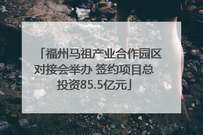 福州马祖产业合作园区对接会举办 签约项目总投资85.5亿元
