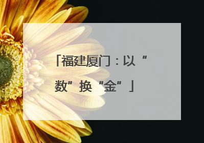 福建厦门：以“数”换“金”
