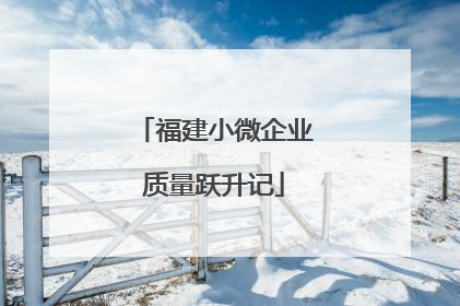 福建小微企业质量跃升记
