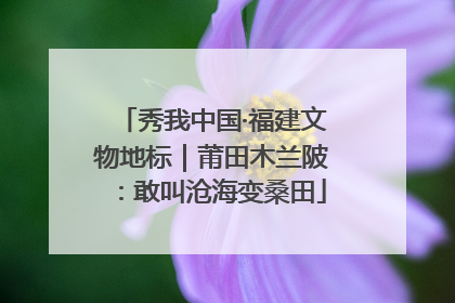 秀我中国·福建文物地标｜莆田木兰陂：敢叫沧海变桑田