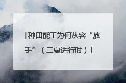 种田能手为何从容“放手”（三夏进行时）