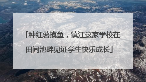 种红薯摸鱼，镇江这家学校在田间池畔见证学生快乐成长