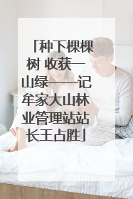 种下棵棵树 收获一山绿——记牟家大山林业管理站站长王占胜
