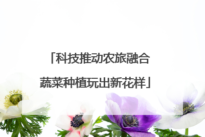 科技推动农旅融合 蔬菜种植玩出新花样