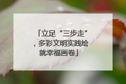 立足“三步走”，多彩文明实践绘就幸福画卷