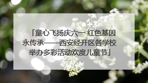 童心飞扬庆六一 红色基因永传承——西安经开区各学校举办多彩活动欢度儿童节