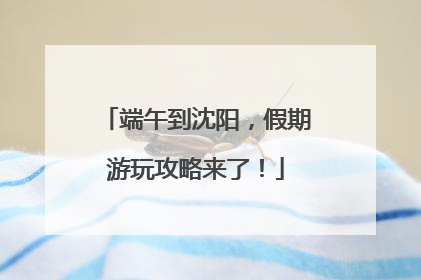端午到沈阳，假期游玩攻略来了！