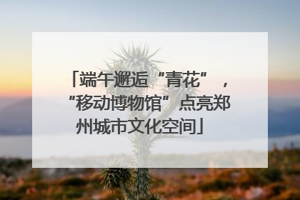 端午邂逅“青花”，“移动博物馆”点亮郑州城市文化空间