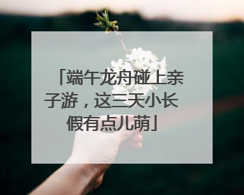端午龙舟碰上亲子游，这三天小长假有点儿萌