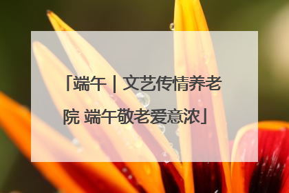 端午｜文艺传情养老院 端午敬老爱意浓