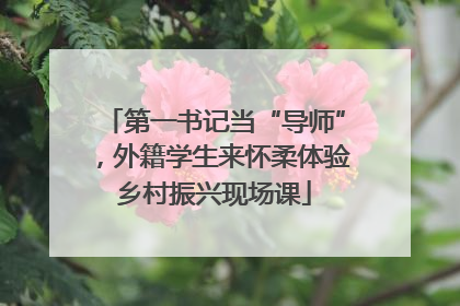 第一书记当“导师”，外籍学生来怀柔体验乡村振兴现场课