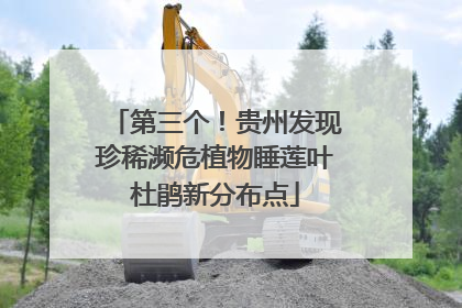 第三个！贵州发现珍稀濒危植物睡莲叶杜鹃新分布点