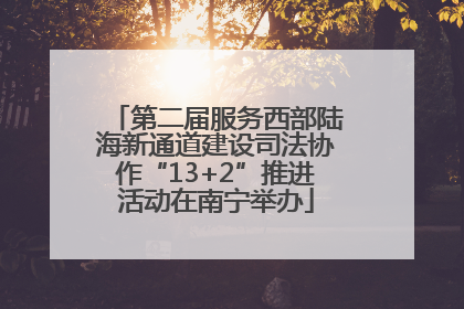 第二届服务西部陆海新通道建设司法协作“13+2”推进活动在南宁举办