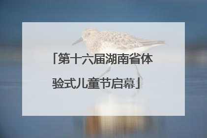第十六届湖南省体验式儿童节启幕