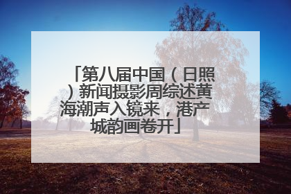 第八届中国（日照）新闻摄影周综述黄海潮声入镜来，港产城韵画卷开
