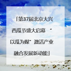 第37届北京大兴西瓜节盛大启幕 “以瓜为媒”激活产业融合发展新动能