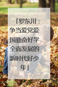 罗东川：争当爱党爱国勤奋好学全面发展的新时代好少年