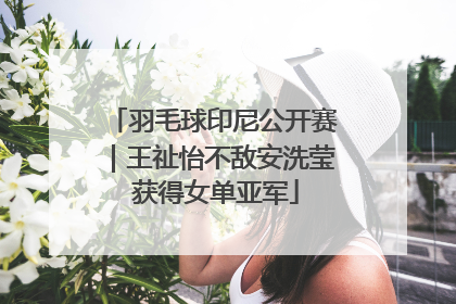 羽毛球印尼公开赛｜王祉怡不敌安洗莹 获得女单亚军