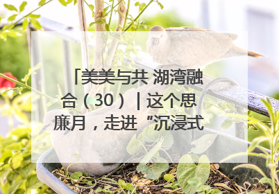 美美与共 湖湾融合（30）｜这个思廉月，走进“沉浸式”清风课堂