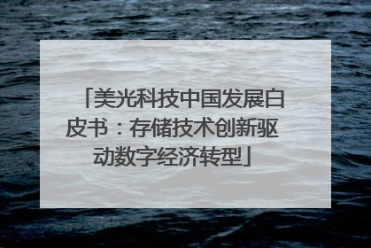 美光科技中国发展白皮书：存储技术创新驱动数字经济转型