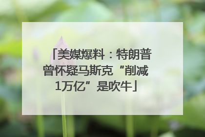 美媒爆料：特朗普曾怀疑马斯克“削减1万亿”是吹牛