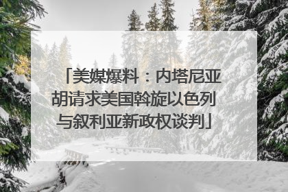 美媒爆料：内塔尼亚胡请求美国斡旋以色列与叙利亚新政权谈判