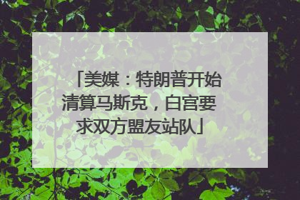 美媒：特朗普开始清算马斯克，白宫要求双方盟友站队