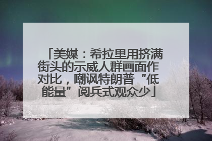 美媒：希拉里用挤满街头的示威人群画面作对比，嘲讽特朗普“低能量”阅兵式观众少