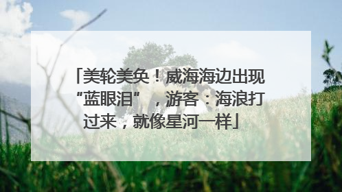 美轮美奂！威海海边出现“蓝眼泪”，游客：海浪打过来，就像星河一样