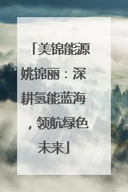 美锦能源姚锦丽：深耕氢能蓝海，领航绿色未来