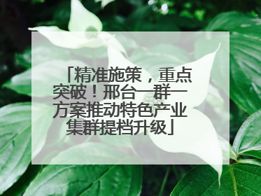 精准施策，重点突破！邢台一群一方案推动特色产业集群提档升级