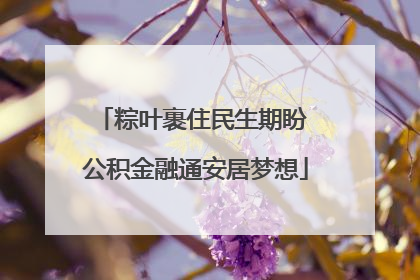 粽叶裹住民生期盼 公积金融通安居梦想