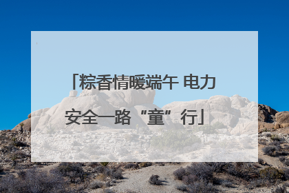 粽香情暖端午 电力安全一路“童”行