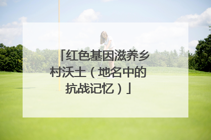 红色基因滋养乡村沃土（地名中的抗战记忆）