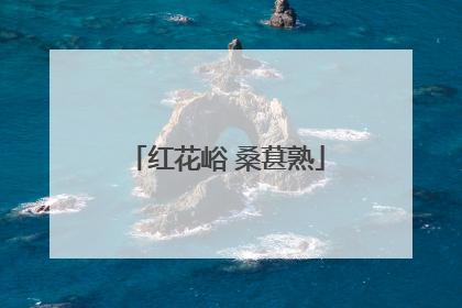 红花峪 桑葚熟