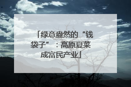 绿意盎然的“钱袋子”：高原夏菜成富民产业