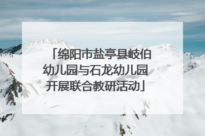 绵阳市盐亭县岐伯幼儿园与石龙幼儿园开展联合教研活动