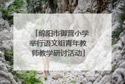 绵阳市御营小学举行语文组青年教师教学研讨活动