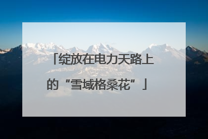 绽放在电力天路上的“雪域格桑花”